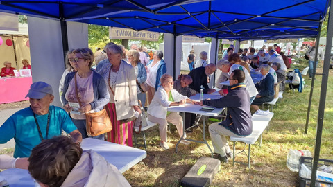 Expo Zdrowie w Ostrowcu Świętokrzyskim. Profilaktyka, która przyciągnęła mieszkańców